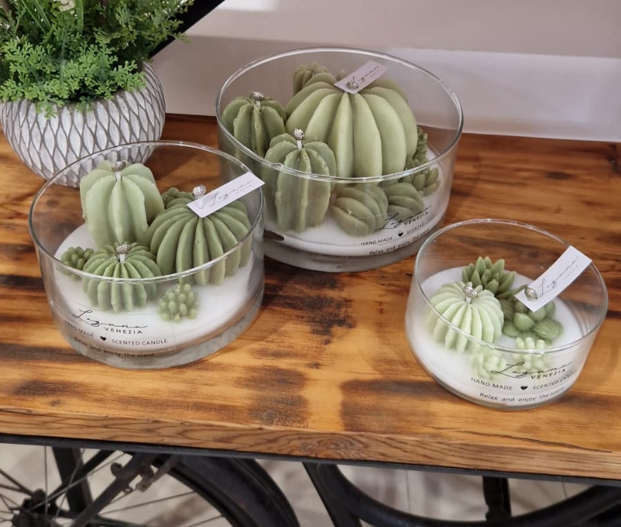 CANDELA CACTUS LAGUNA HOME VENEZIA